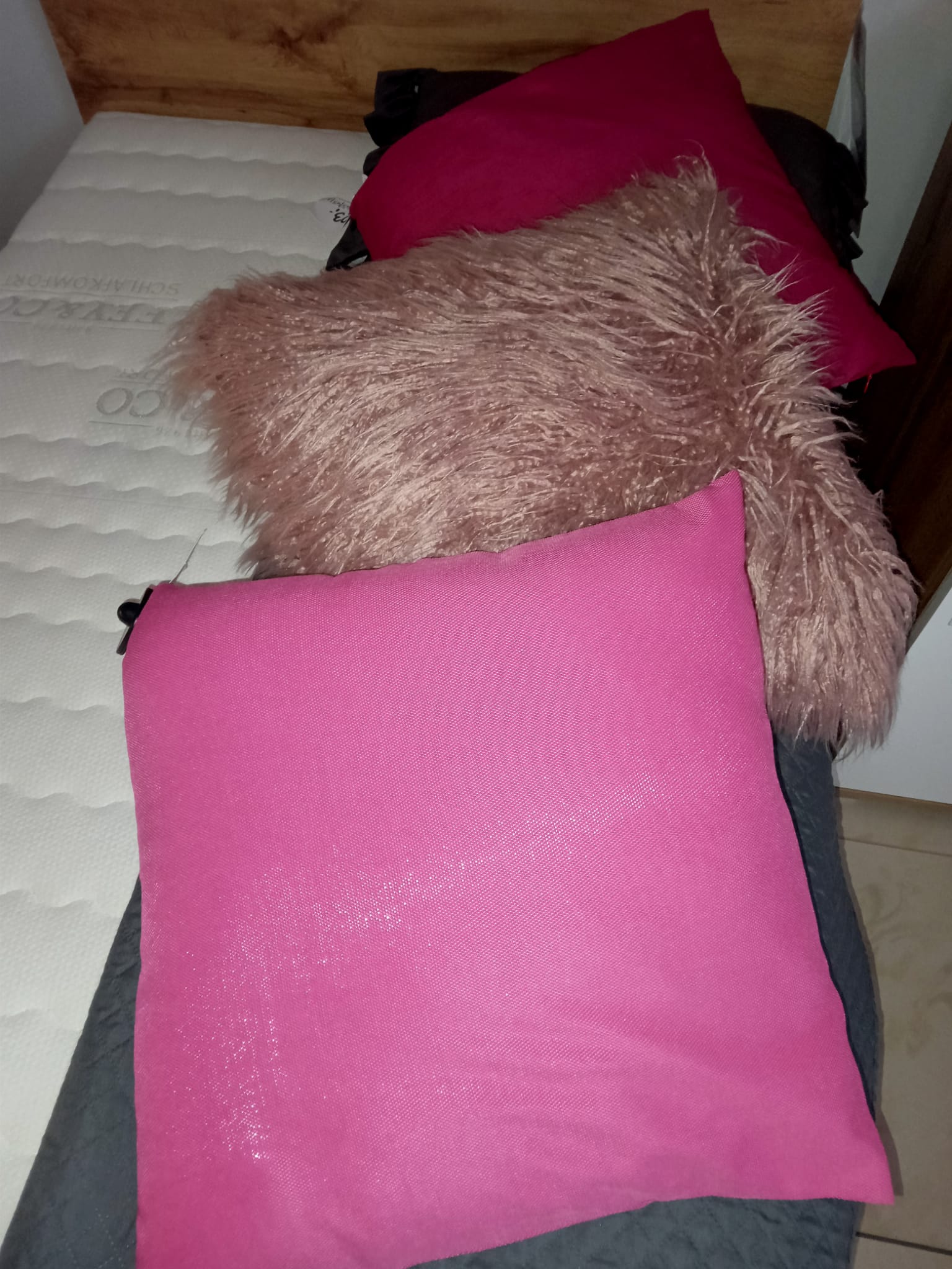 IMG-20230113-WA0054 - Kopia