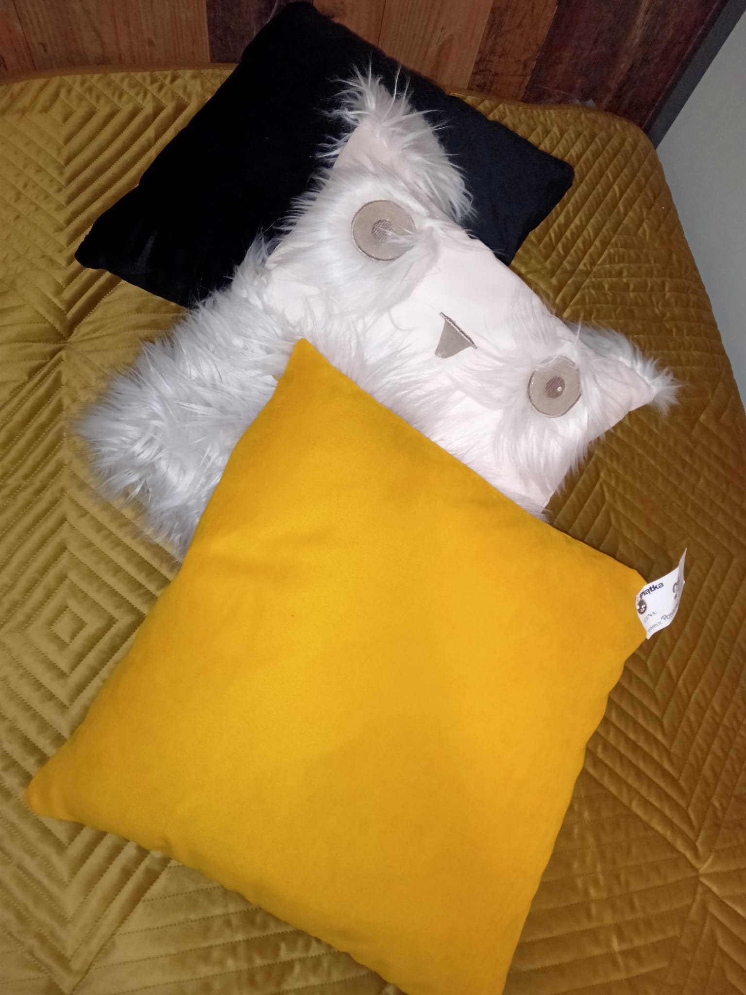 IMG-20230113-WA0174 - Kopia