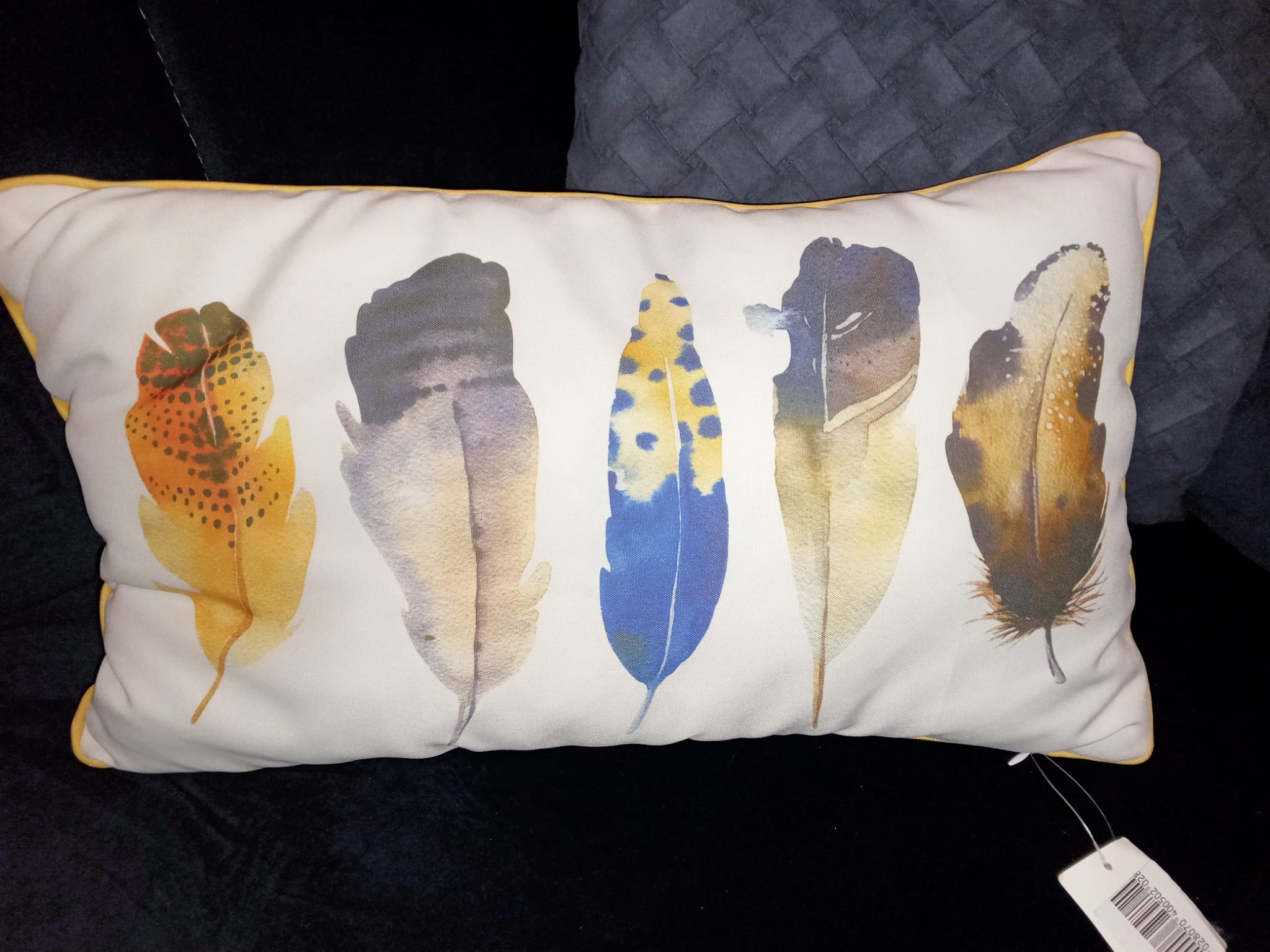 IMG-20230113-WA0178 (1) - Kopia