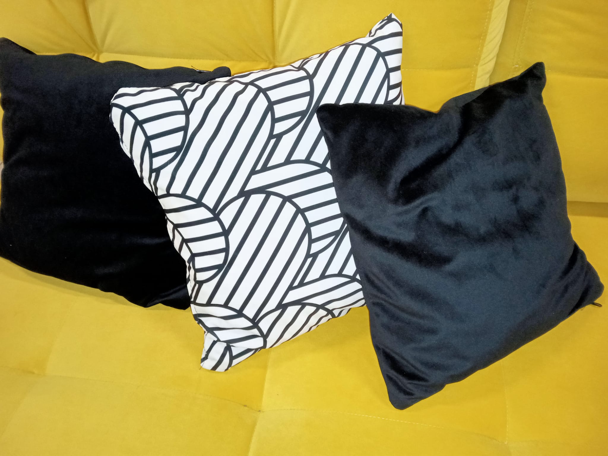 IMG-20230113-WA0182 (1)